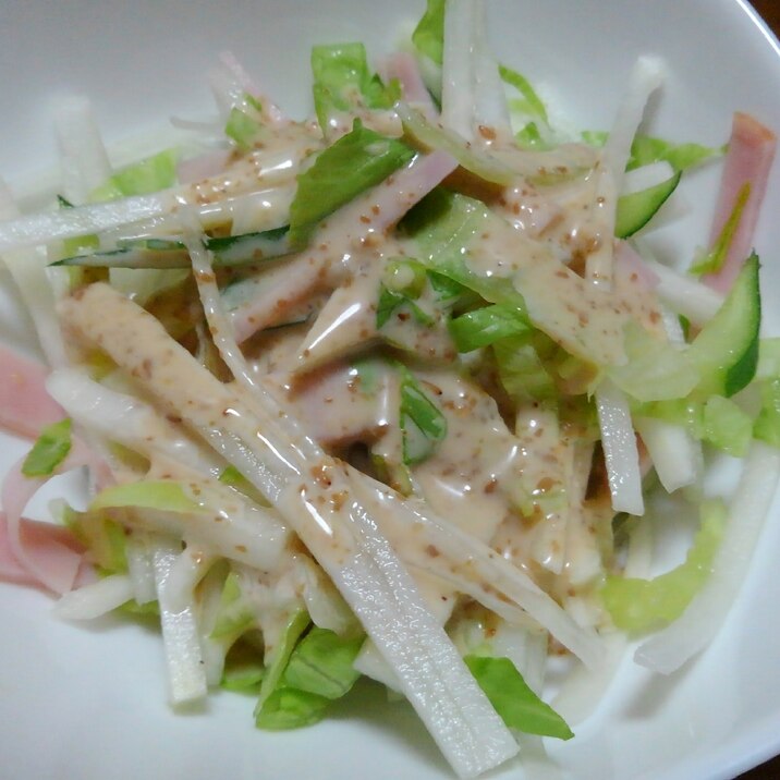 ゴマドレッシングで食べる…野菜たっぷり大根サラダ